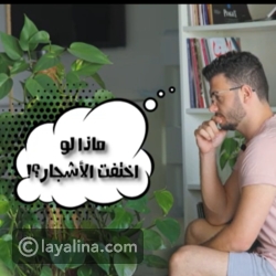 ماذا سيحدث لو احترقت جميع الأشجار على الأرض؟