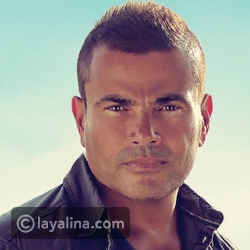 فيديو: عمرو دياب ينفعل على واحد من جماهيره.. وشاعر شهير يهاجمه بعنف