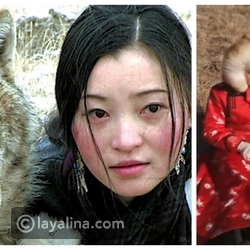 فيديو وصور: ملكة الذئاب.. بدون خوف فتاة صينية تعيش مع 36 ذئب مفترس