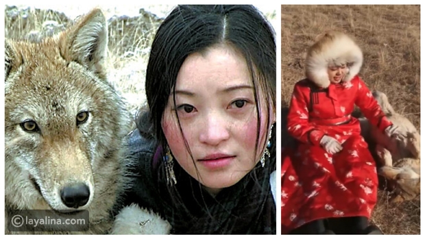 فيديو وصور: ملكة الذئاب.. بدون خوف فتاة صينية تعيش مع 36 ذئب مفترس