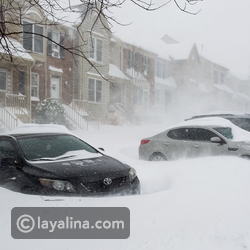 شاهد ماذا فعلت هذه السيدة لتتحدى العاصفة الثلجية