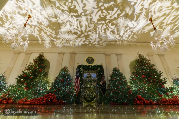 شاهد: سيدة أمريكا الأولى تحقق رقماً قياسياً في عدد أشجار عيد الميلاد