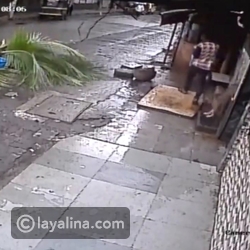 فيديو لحظة وفاة مذيعة هندية بعد سقوط نخلة فوقها في الشارع