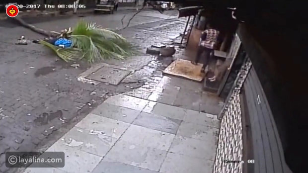 فيديو لحظة وفاة مذيعة هندية بعد سقوط نخلة فوقها في الشارع