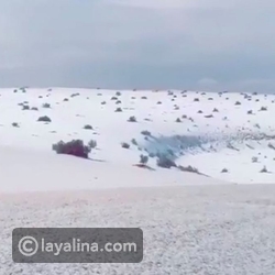 شاهد: البرَد يكسو رمال النفود السعودية بالبياض